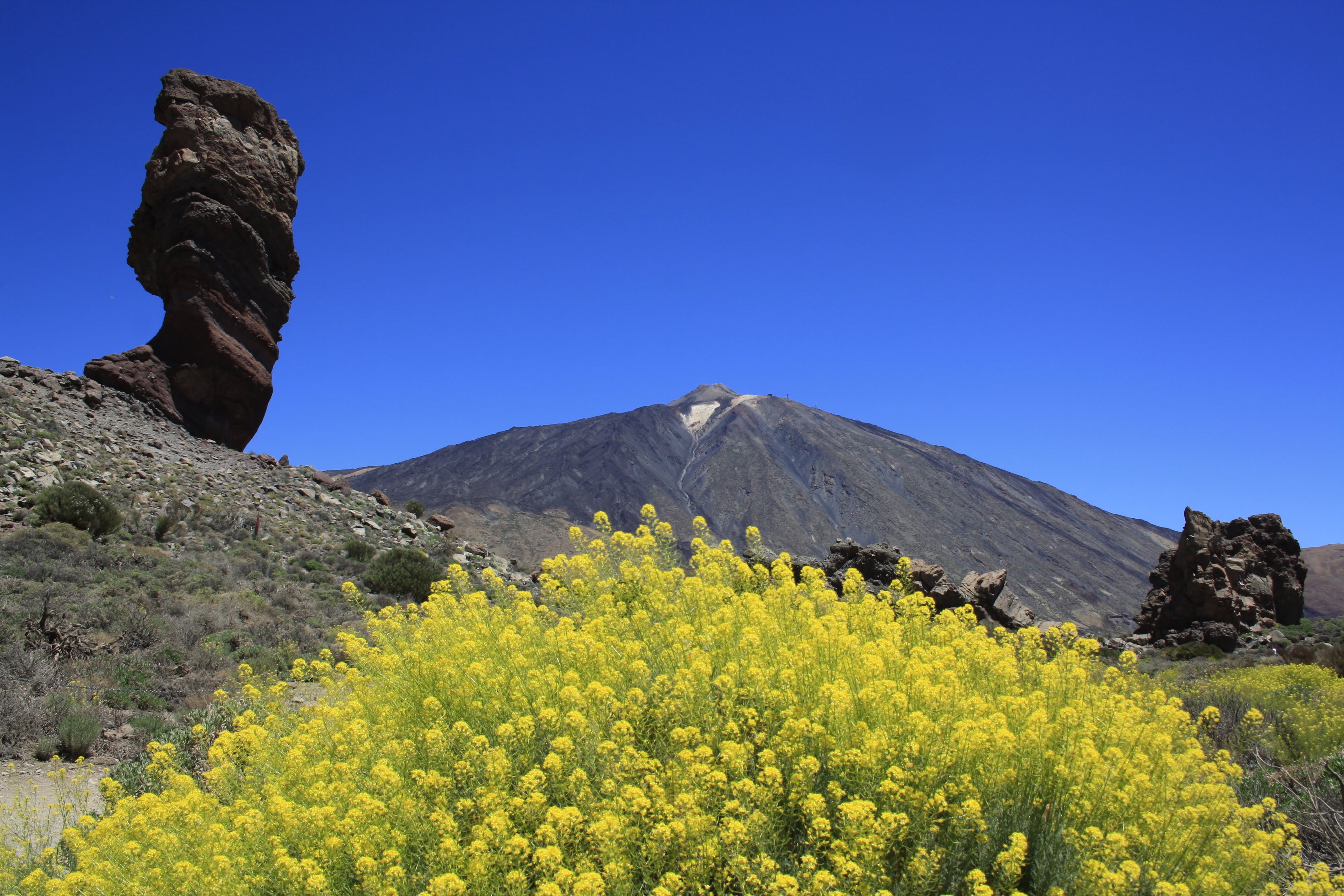 Ida-Tenerife-1