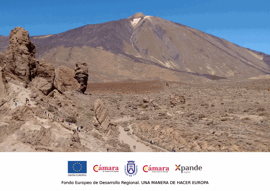 Volcan del Teide y Roques de García Volcan del Teide y Roques de García