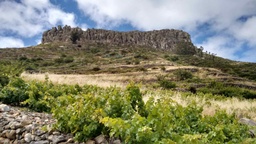 Viñedos al pie de La Fortaleza de La Gomera, también llamada Argodey